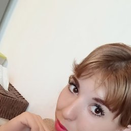  , , 26  -  17  2025