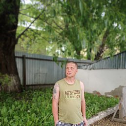 , 36 , 