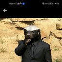 ���� �lvaro, ��������� ����� - ��������� 6 ������� 2025 � ������ ������ ��������