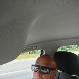 , 53, 