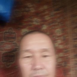 , 53 , 