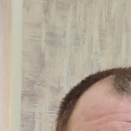 ����, ����, 40 ���