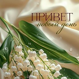 ����������, ������������