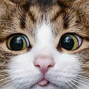 ���� �����, ������-��������� - ��������� 29 ������ 2025 � ������ ���� ����������