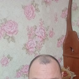 ���� ��������, ��������������, 45 ��� - ��������� 31 ������ 2026