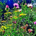 ���� �������, ���������, 80 ��� - ��������� 1 ������� 2026 � ������ ������ ��������