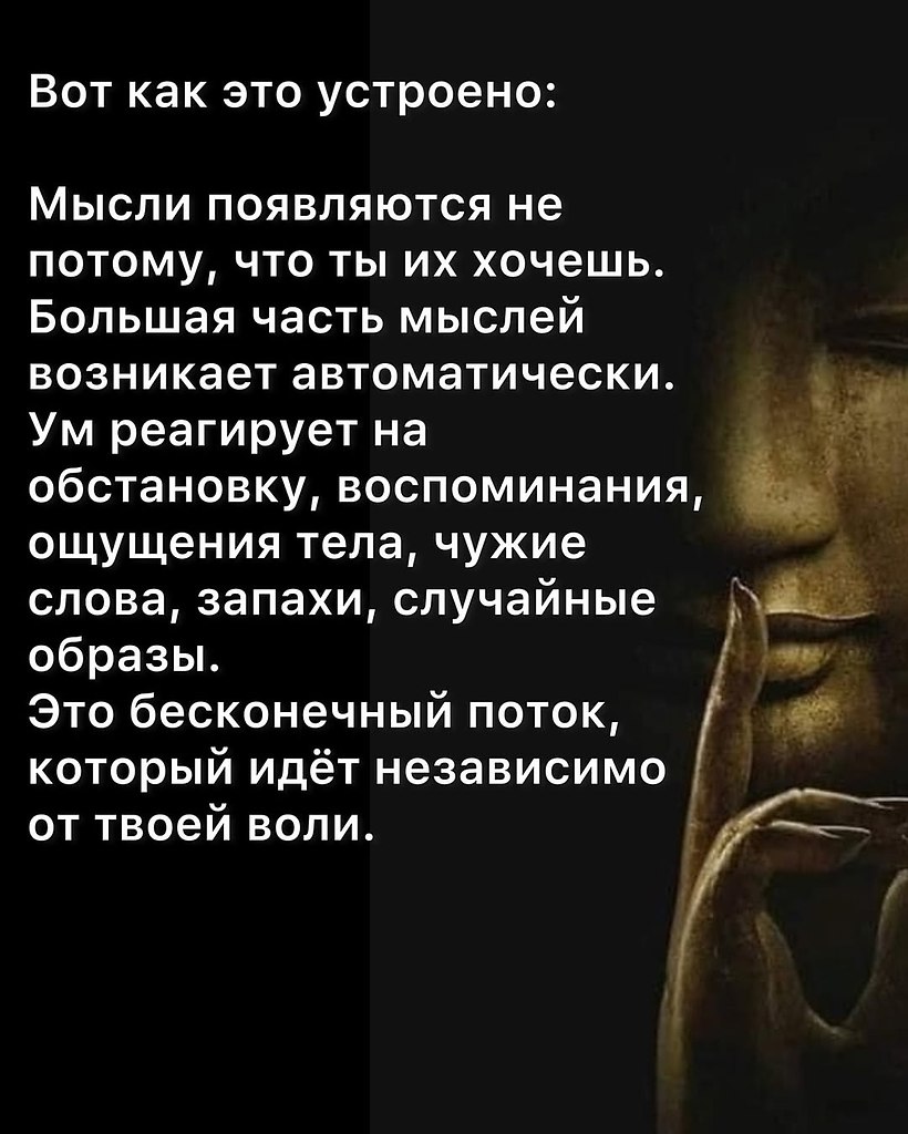 Just Business - 23 октября 2025 в 20:41 - 3