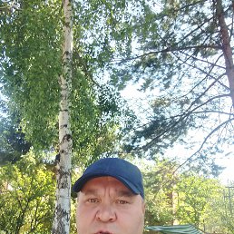 , 44 , 