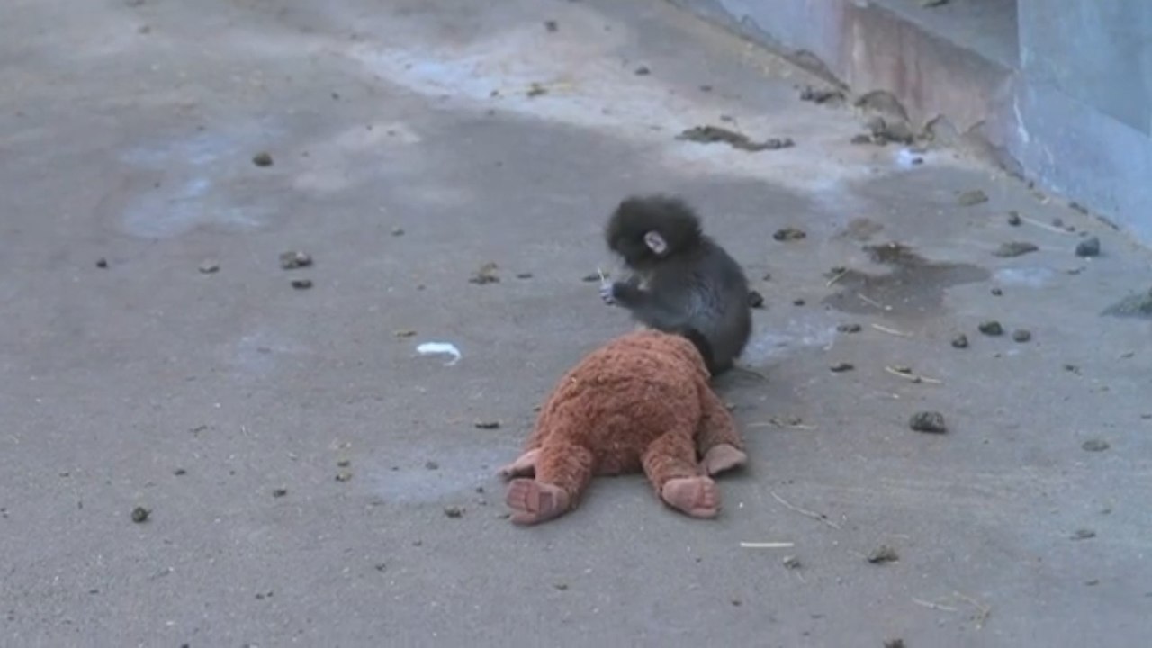 ��� ���� � ����� �� ��������� ��������, � ��������� ��������. ���� ������� ��� � ���������� �������� ... - 2