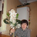 ���� ������, ������, 64 ���� - ��������� 2 ������ 2025 � ������ ���� ����������