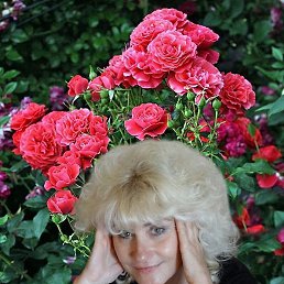 ����, ������ �����, 60 ���