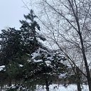 ���� �����, ������������ - ��������� 12 ������� 2025 � ������ ����� ���� ������