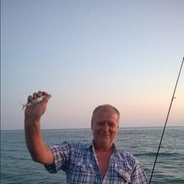 , 63 , 