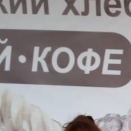 ���� ������� ���������, ����, 48 ��� - ��������� 9 ������� 2024