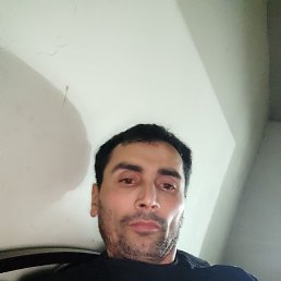 , 41, 