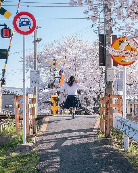 Можно подумать, что это кадры из аниме. А на самом деле - это чудесные фотографии от японского ... - 6