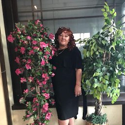 , 56, 