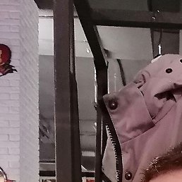 ���������, ����, 40 ���