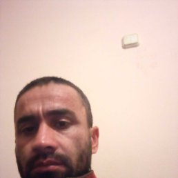 , 34, 