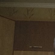 ������, 42 ����, �������