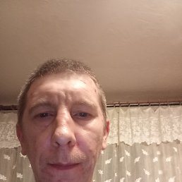 �����, 40 ���, �����