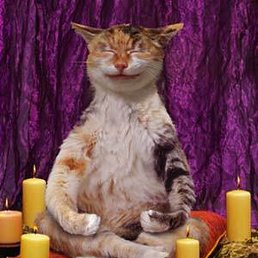 ���������, ������������, 54 ����