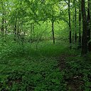 ���� �������, �������� - ��������� 2 ������� 2024 � ������ ������ ��������