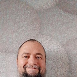 , 41, 
