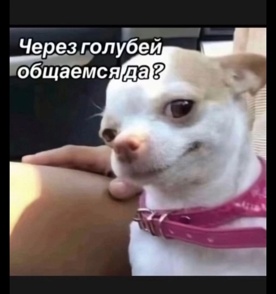 . - 11  2025  06:22 - 2