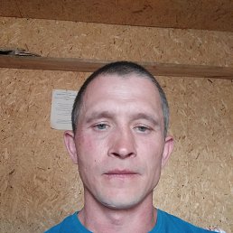 , 37, 