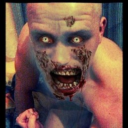 , 29, 