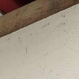 �����, ������, 36 ���