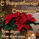 ���� �������, ��������, 68 ��� - ��������� 6 ������ 2024 � ������ ���� ����������