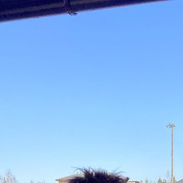 �������, ������, 70 ���