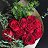 ���� Leyla, ������ - ��������� 13 ������� 2024
