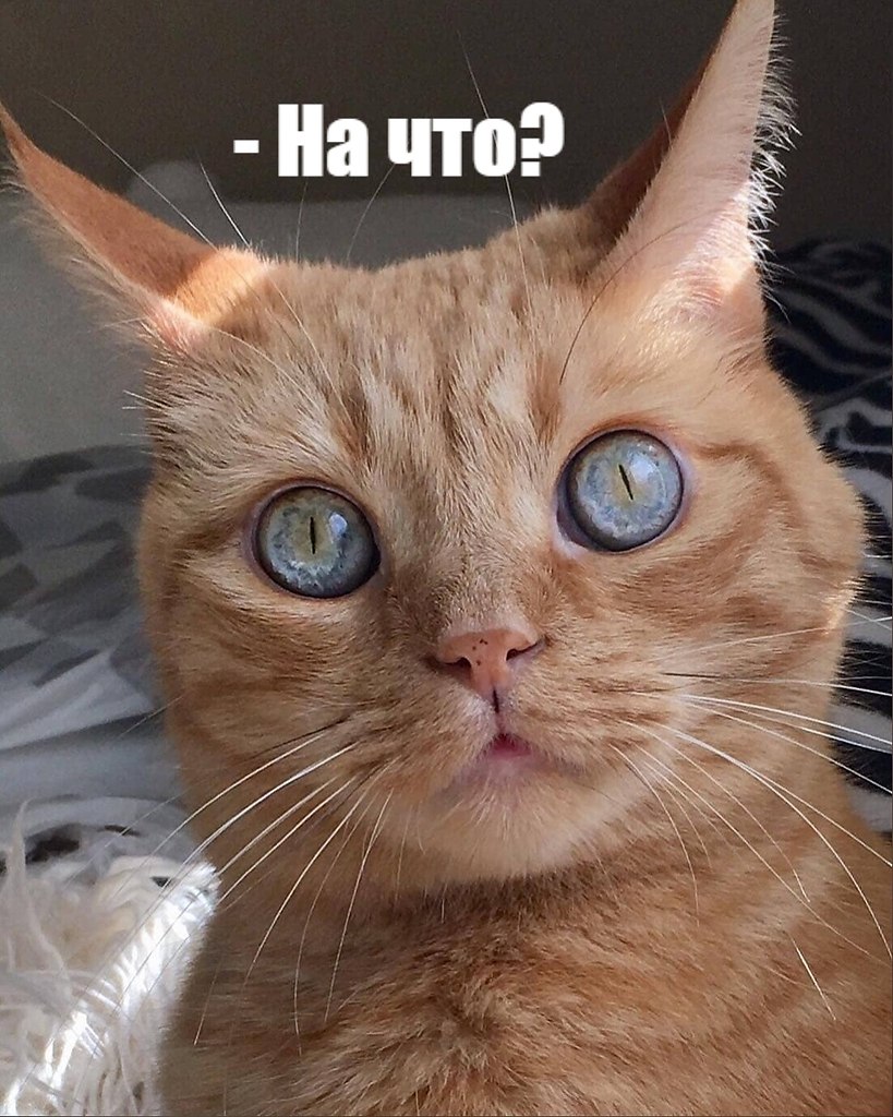       - 4  2025  16:03 - 2