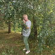 �����, , �����������