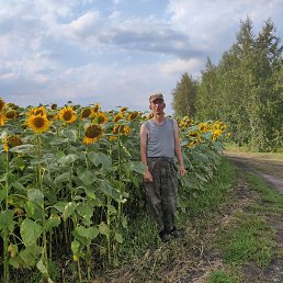 ���� ����,���.79622375425, ������, 50 ��� - ��������� 27 ������� 2024