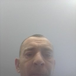 , 44, 