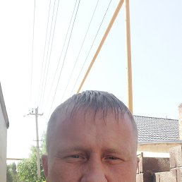 , 37, 