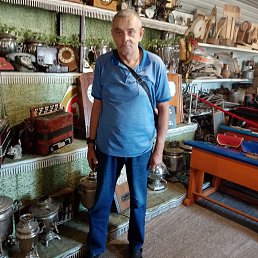 , 61, 