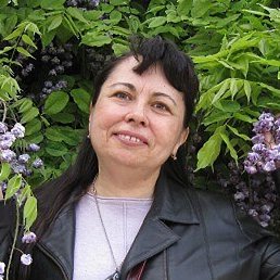 �����, ���������, 52 ����