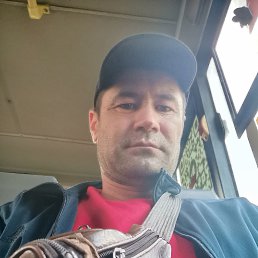 , 37, 