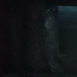 �������, ������, 50 ���