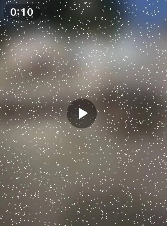 paa aeu  ooe e uu ee eek. e u  o,  a u  ... - 2