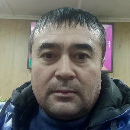 �����, ������, 40 ���