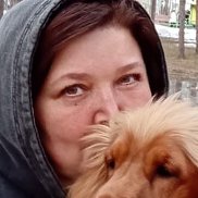 �����, 40 ���, ����������