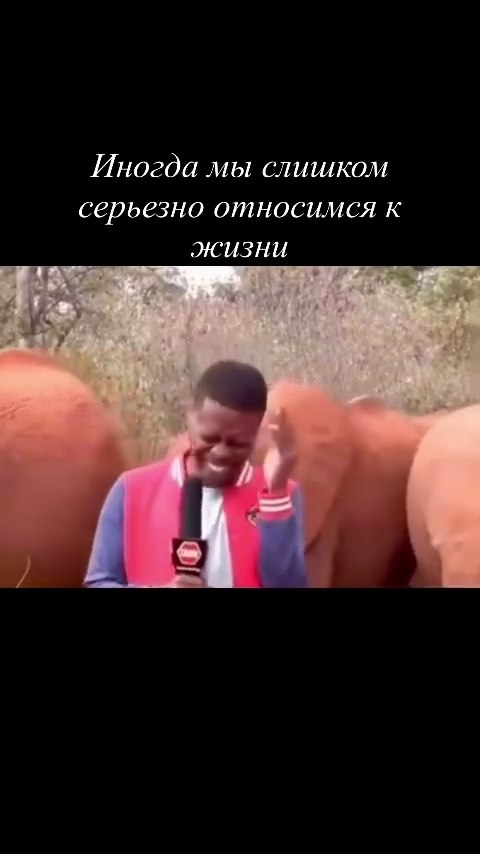 ��������� �������� ����� ������ ��������� ��������� ����� � ������ � ������ ������� � ��������� ... - 2