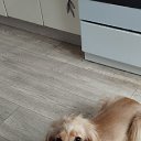 ���� ���������, ������������ - ��������� 26 ������� 2025 � ������ ���� ����������