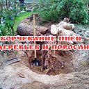 ���� ��������, ������-��-����, 38 ��� - ��������� 17 ������� 2026 � ������ ������ ��������